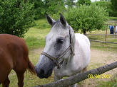fotky 038.jpg