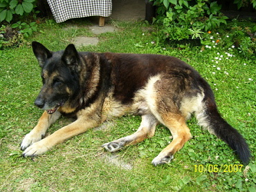 fotky 053.jpg
